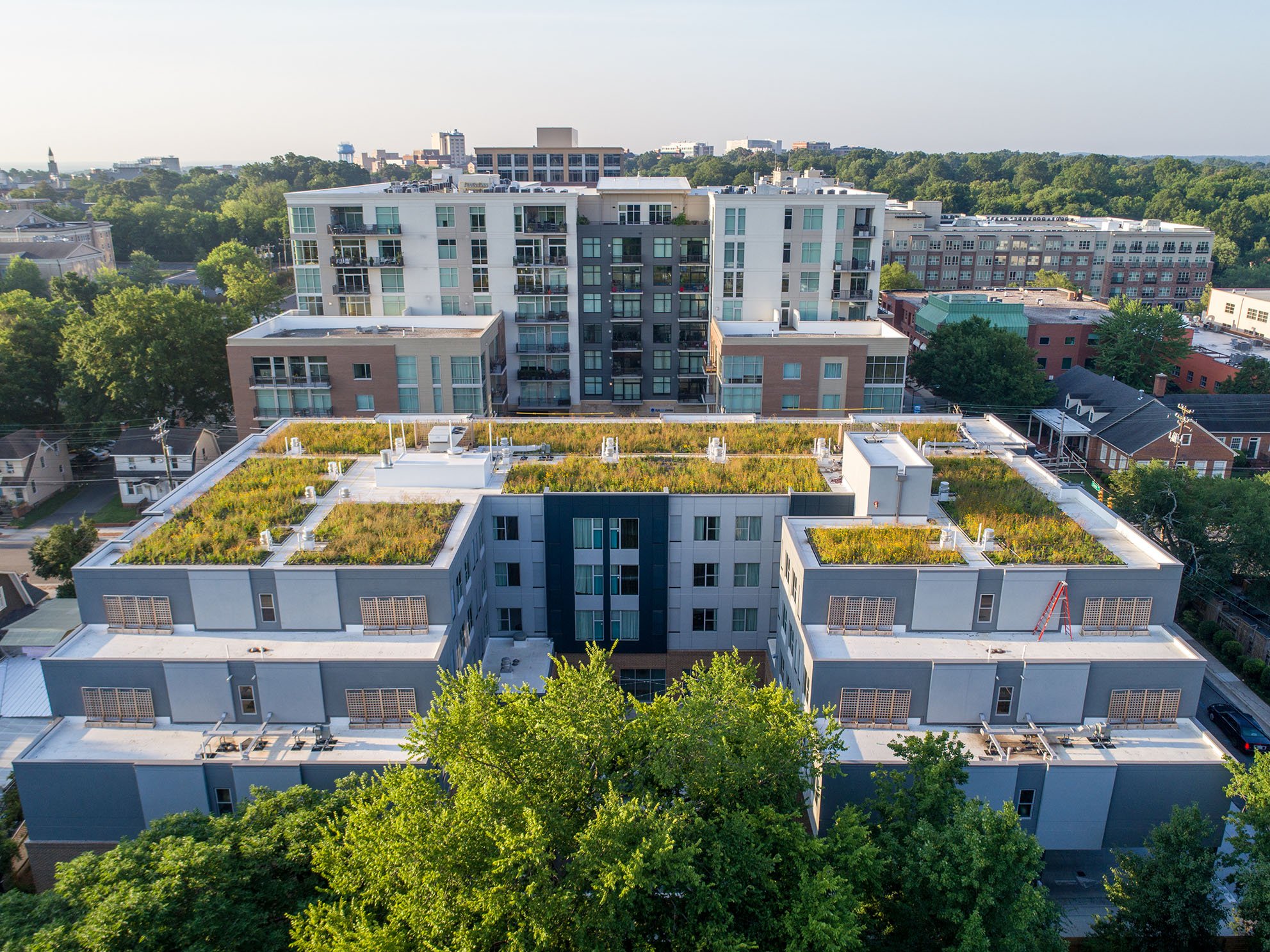 NCASLA Spotlight: Meet Kate Ancaya — North Carolina Chapter ASLA